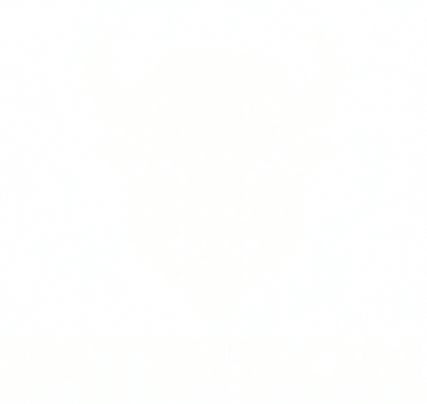 Bitbison