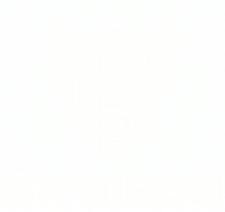 Bitbison