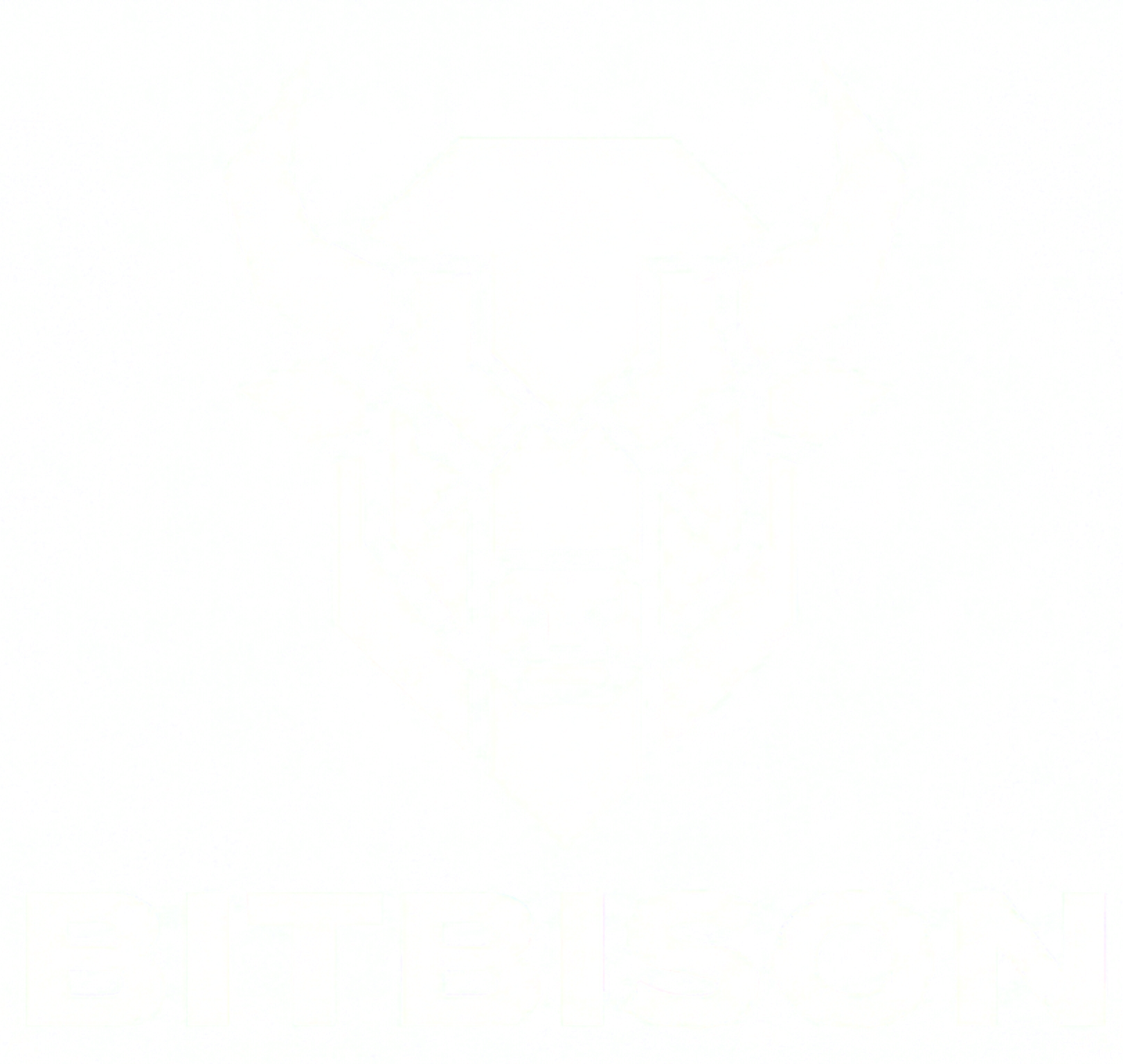 Bitbison
